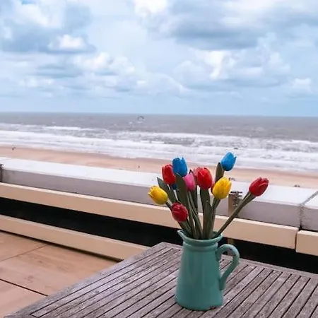 Kraaiennest * Egmond aan Zee