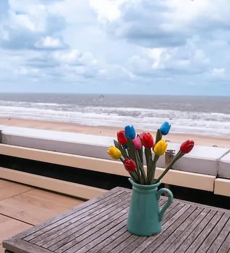 Kraaiennest * Egmond aan Zee