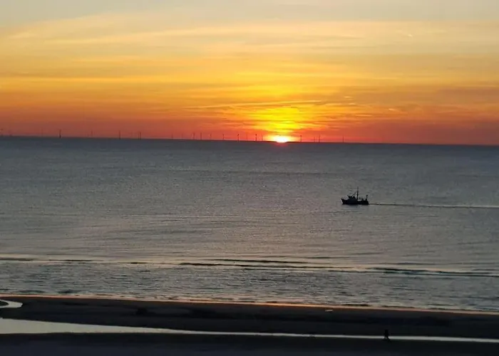 Kraaiennest * Egmond aan Zee