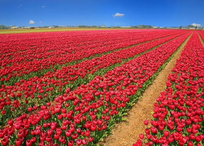 דירה Kraaiennest *