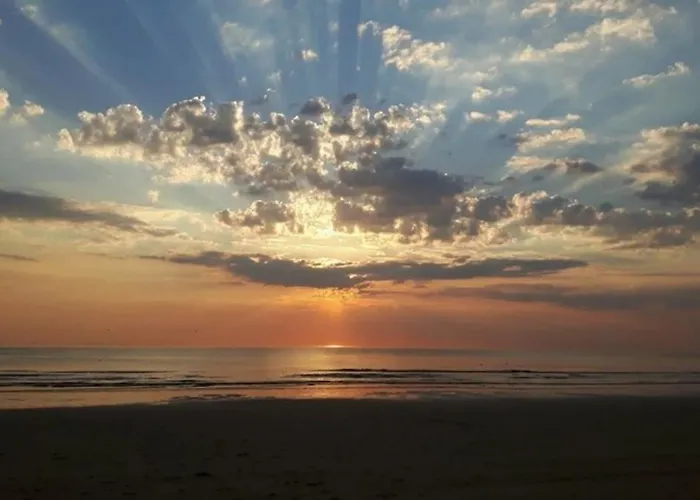 Kraaiennest Lägenhet *